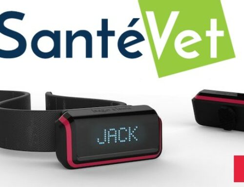 SantéVet s’associe avec Jagger & Lewis