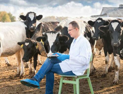 Vetoquinol prend une participation majoritaire dans Farmvet Systems