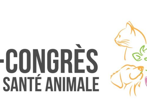 Le congrès du futur par MSD Santé Animale
