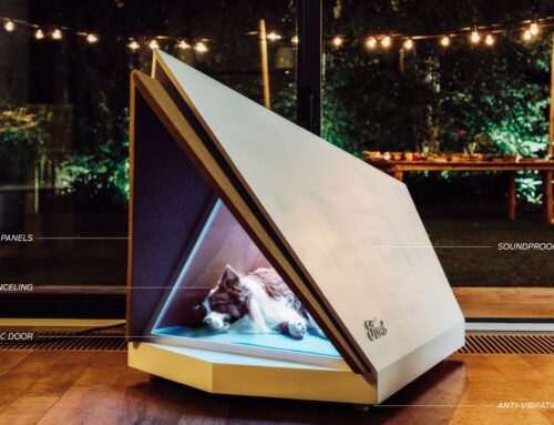 La niche antibruit de Ford calme les chiens effrayés par les feux d’artifice