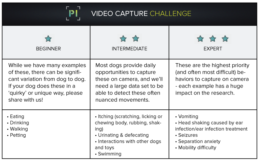 PI video Capture challenge