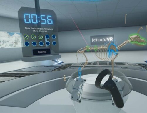 Enseignement vétérinaire et simulation digitale
