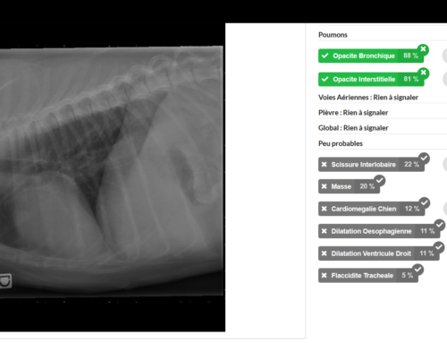 PicoxIA : l’intelligence artificielle au service de l’imagerie médicale vétérinaire