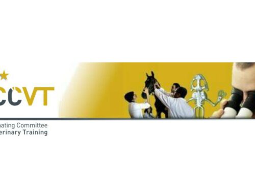 Faire place au numérique dans la pratique vétérinaire : l’avis du Comité Européen de Coordination de la Formation Vétérinaire