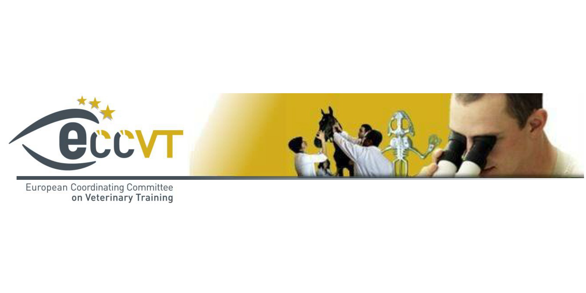 ECCVT - European Coordinating Committee on Veterinary Training