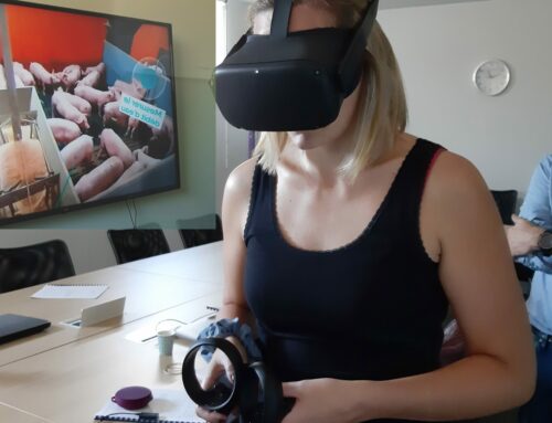 La réalité virtuelle au service des visites d’élevage dans les écoles vétérinaires