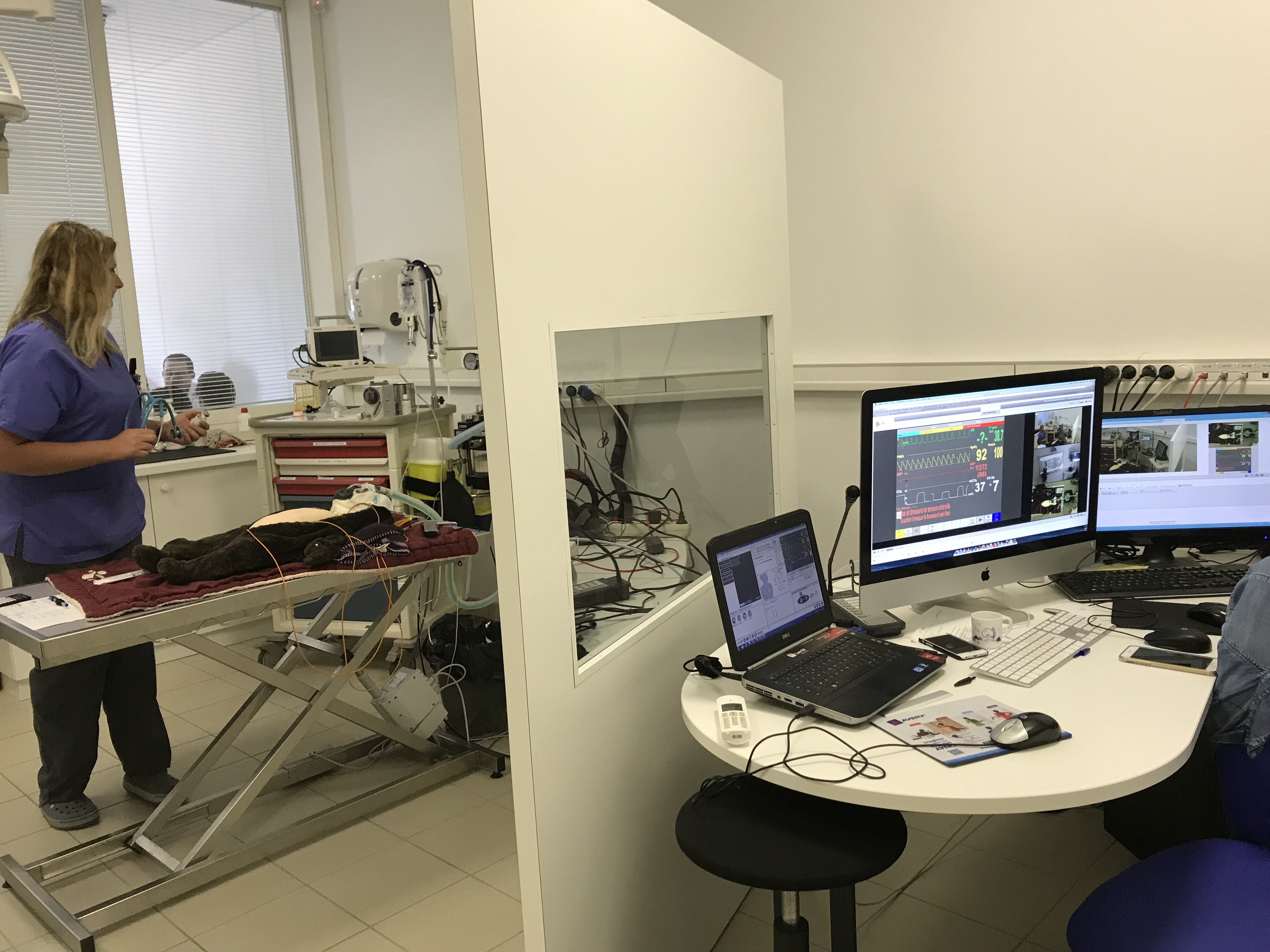 Photo 24-05-2018 12 26 44 Virtual Vet