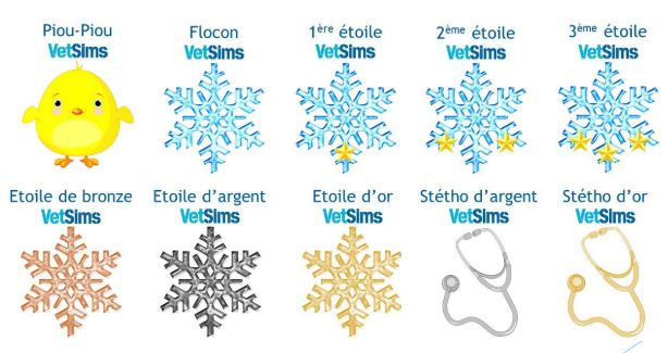 badge sims badge vetims