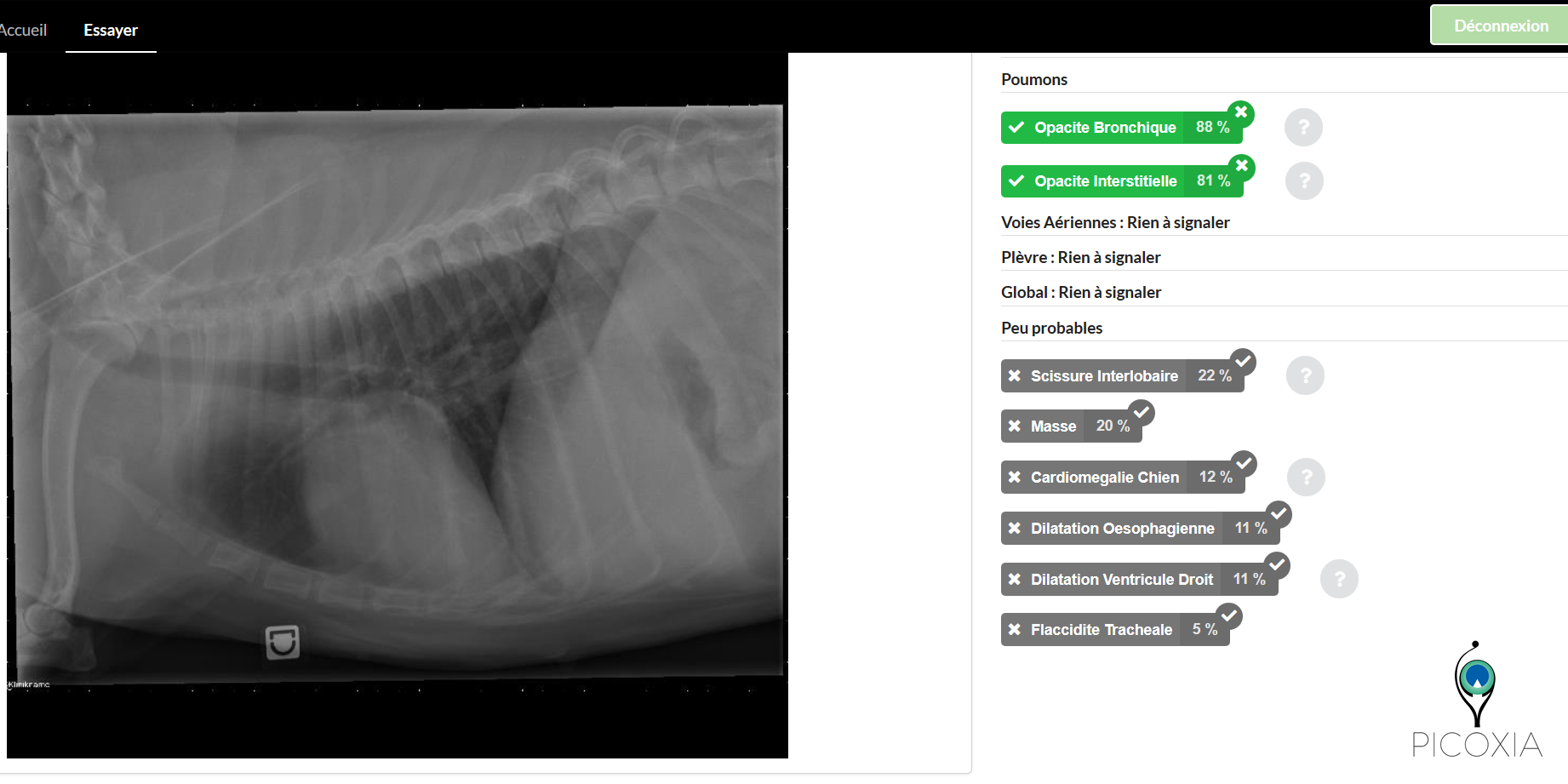 interpretation image radiographique vétérinaire